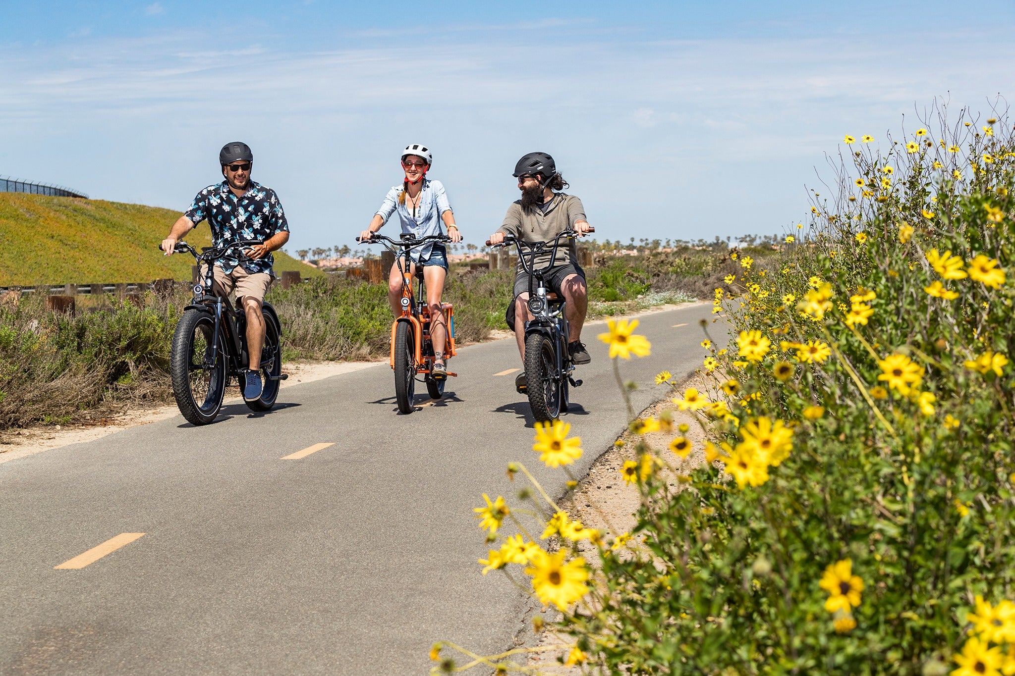 electric bike tall rider