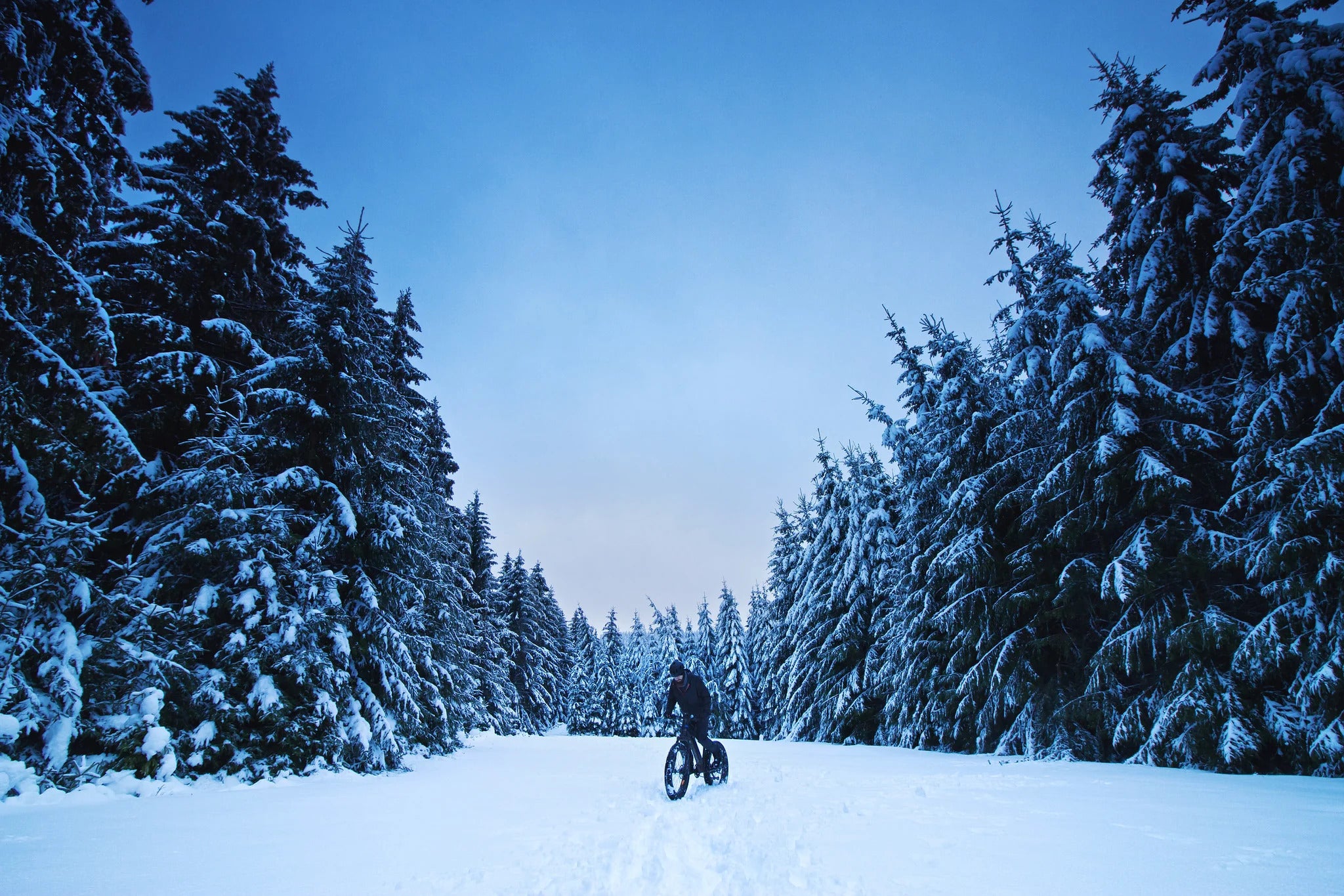 How to Choose a Snow EBike for Winter Cycling?