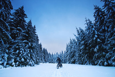 How to Choose a Snow EBike for Winter Cycling?