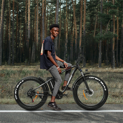 Best Bicycle Models: Why Choose a 750W Electric Bike?