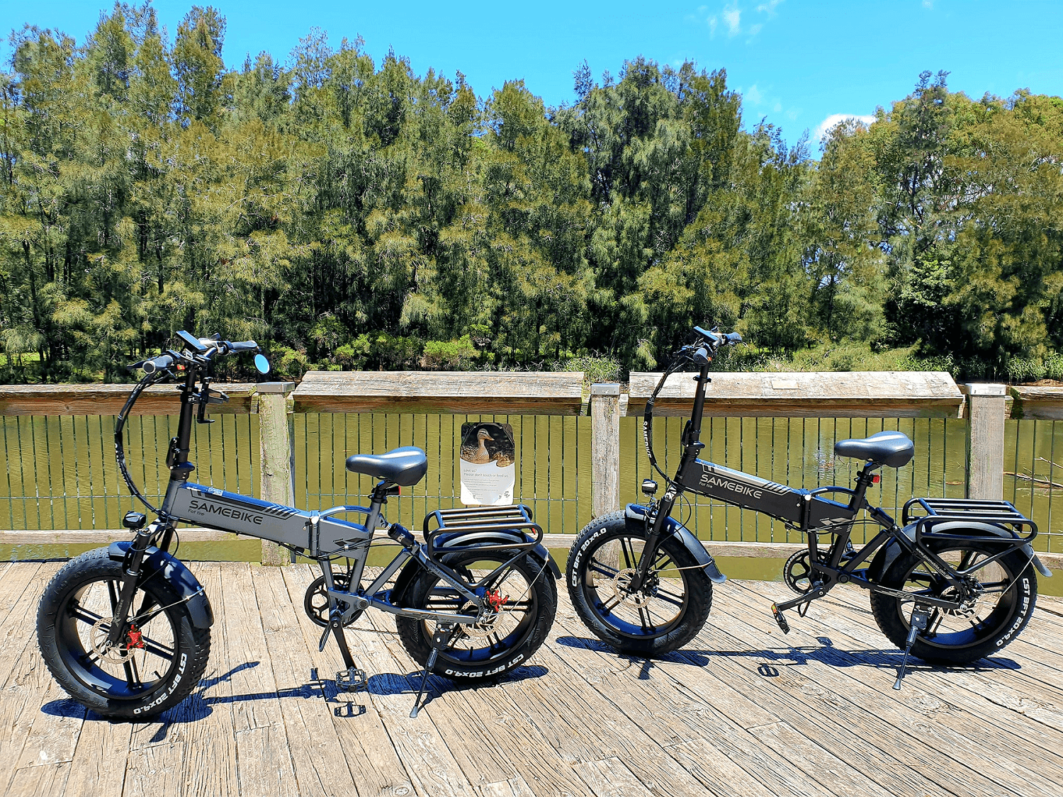 ebike range of electric bicycle