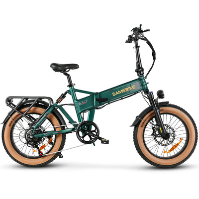 XWLX09-II 1000W Fat Tire Mountain Ebike