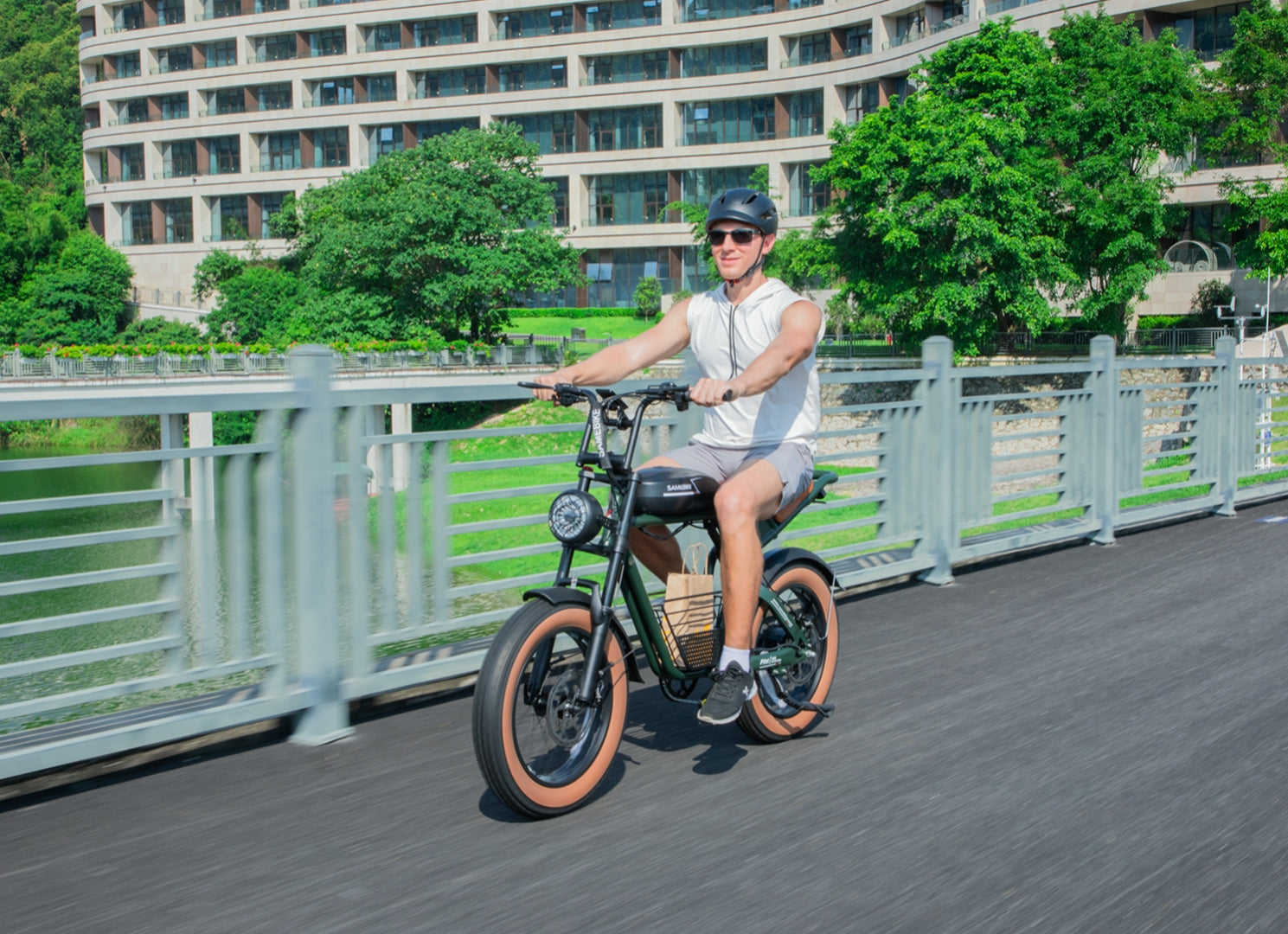 M20 1000W Electric Bike