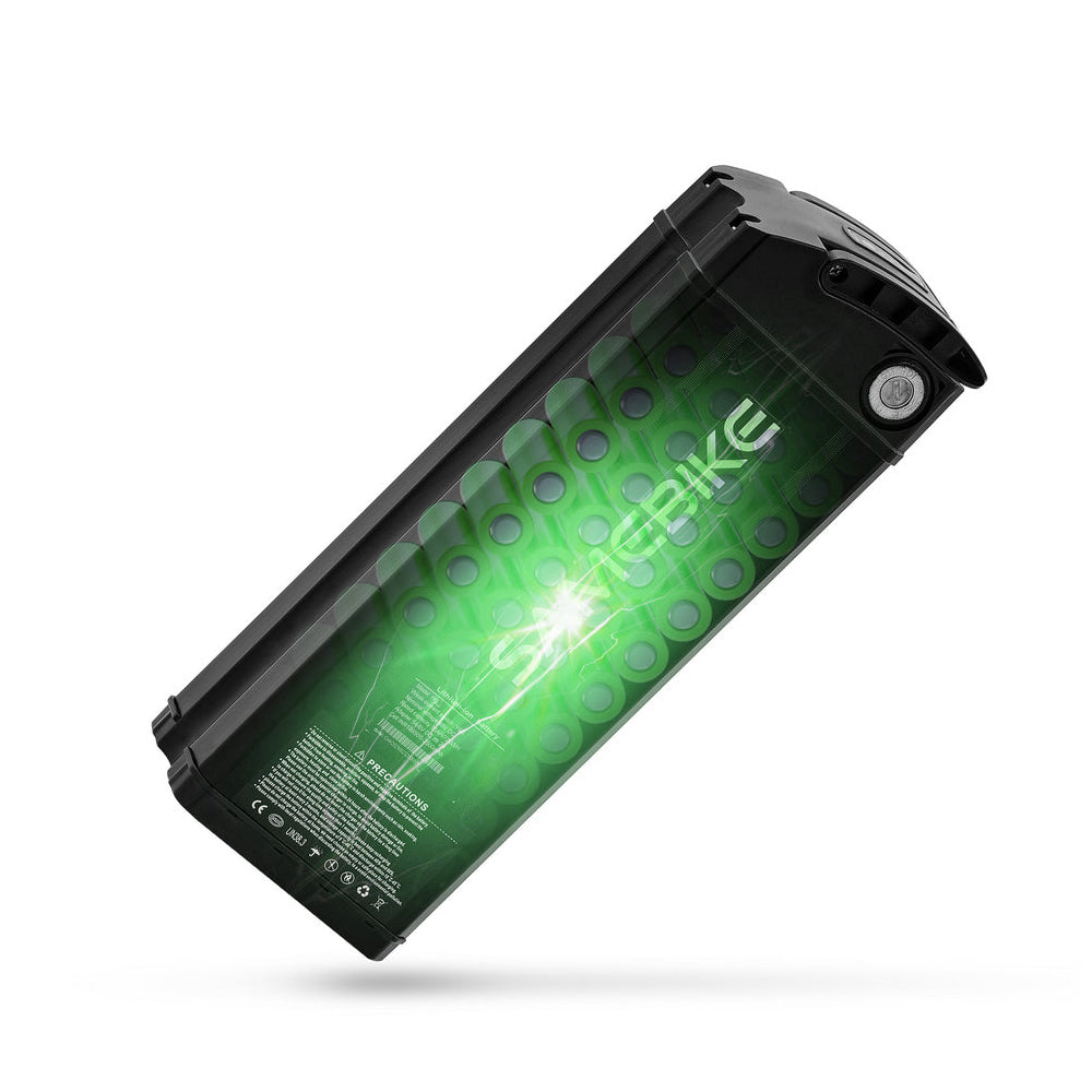 SAMEBIKE Battery