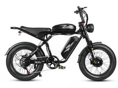 M20-III 2000W Electric Bicycle