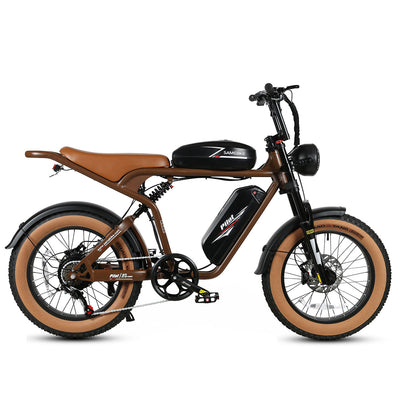 M20-III 2000W Electric Bicycle