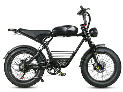 Bicicletta elettrica M20 1000W